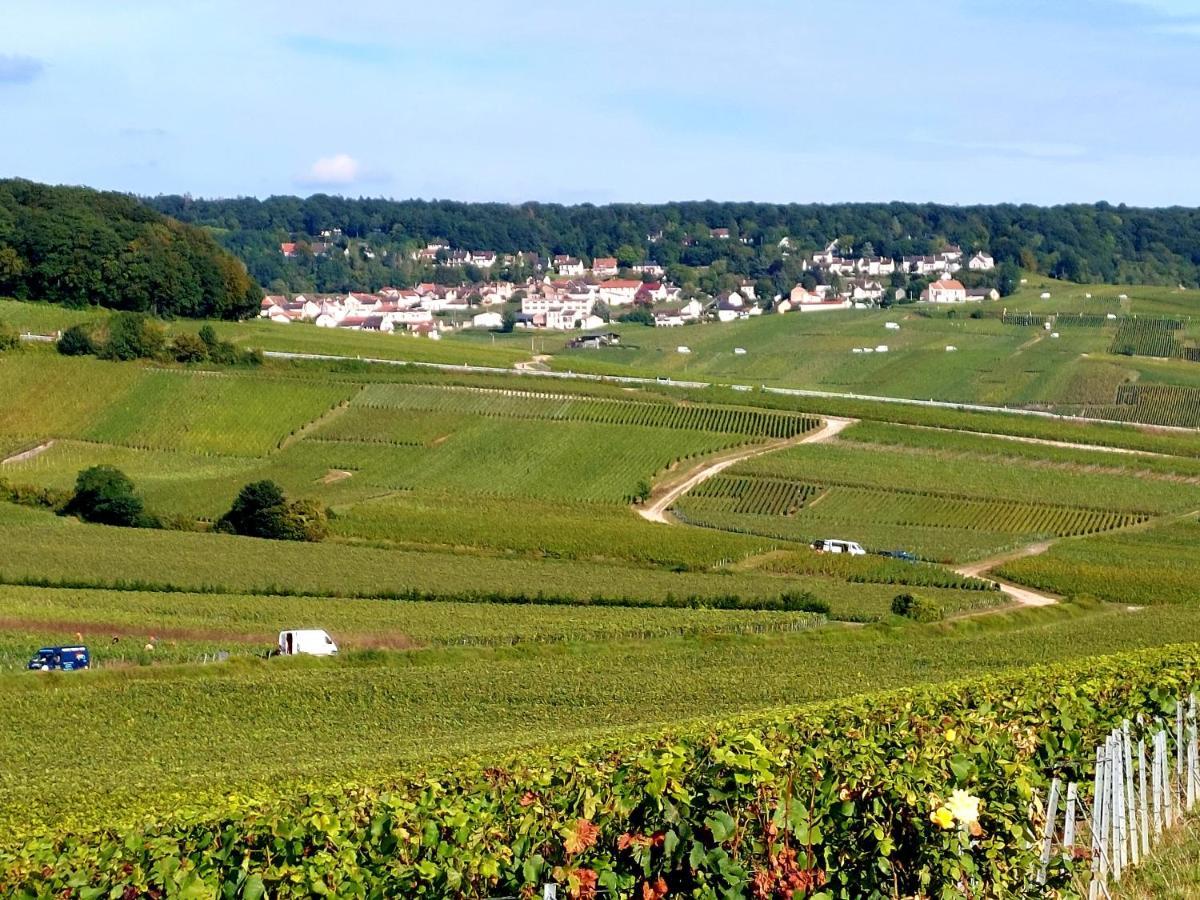 Epernay Capital De Champagne Apartment Ngoại thất bức ảnh